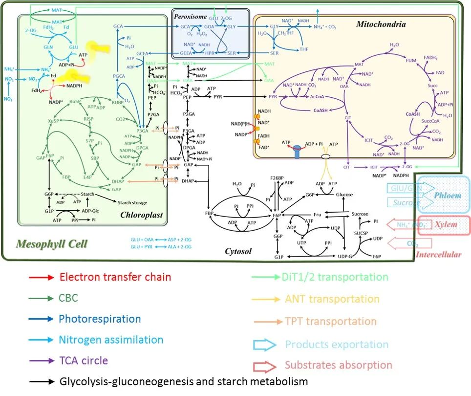 壓垮農(nóng)資經(jīng)銷商的三座大山！